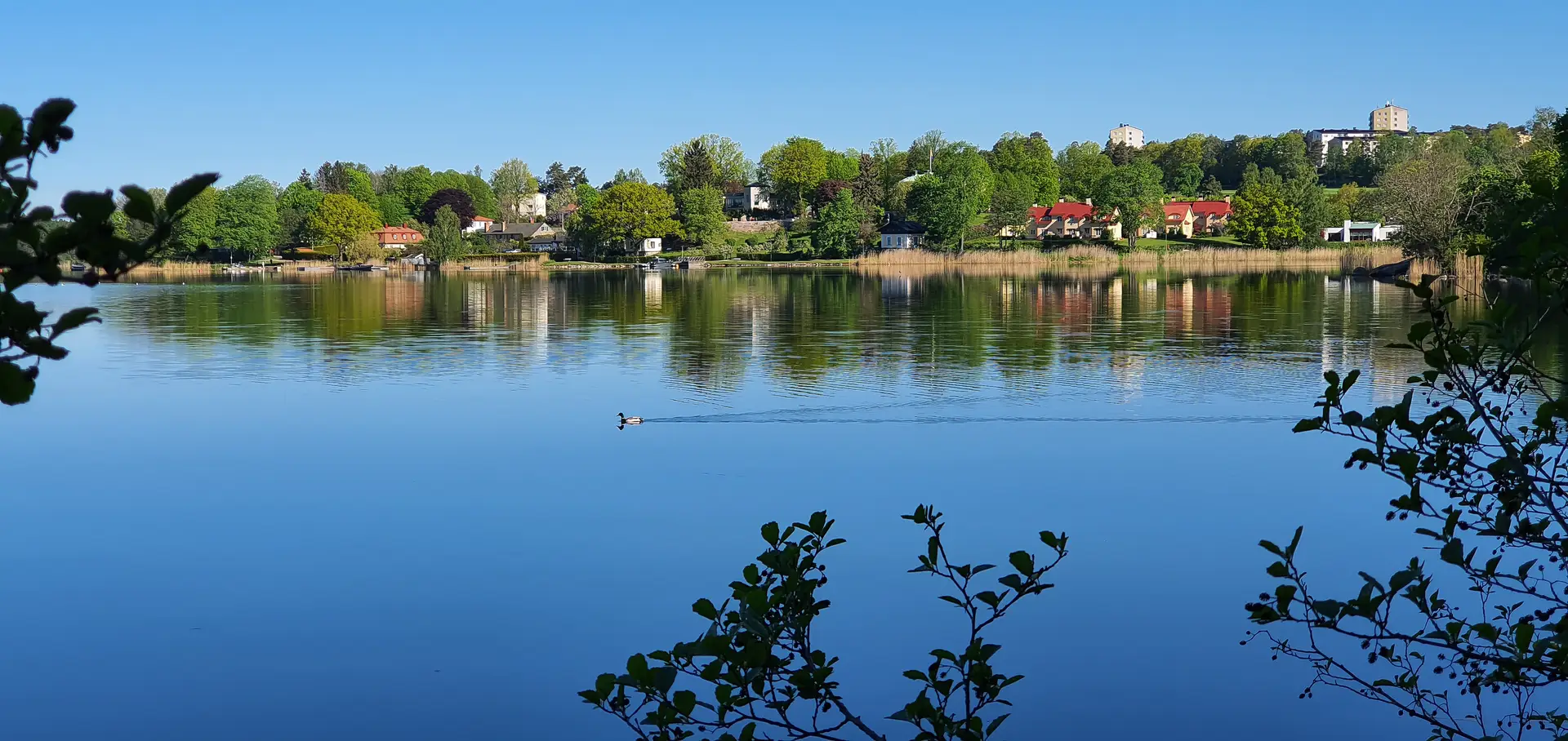 Radonsanering i Täby när värdet är för högt