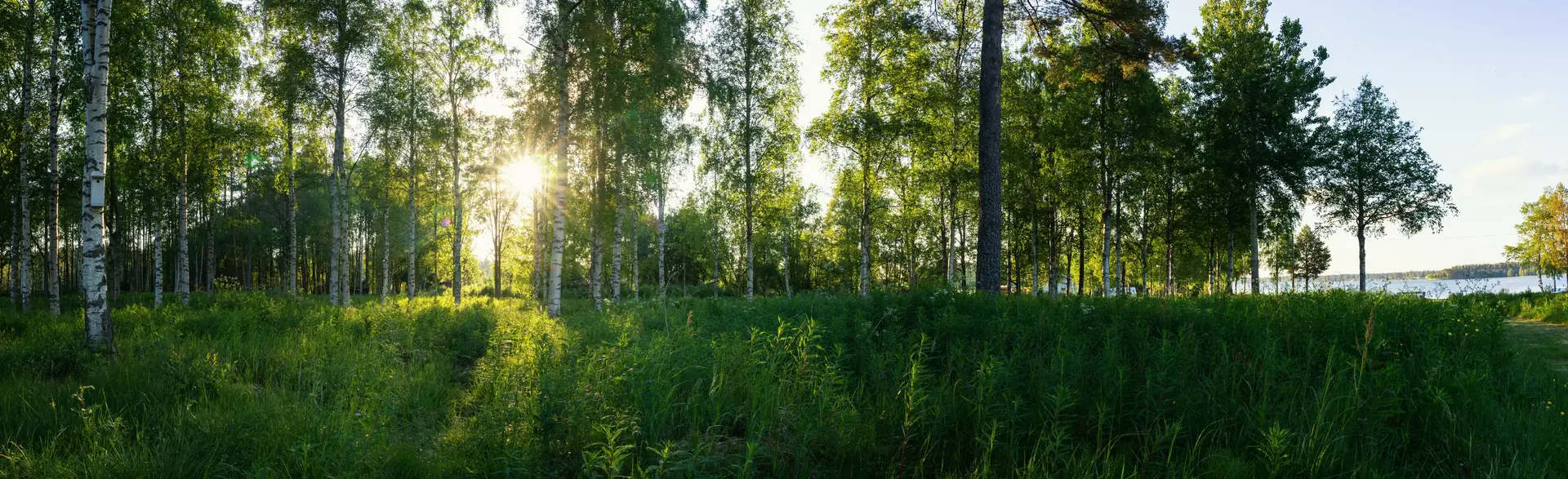 Rensa ventilationen i Täby